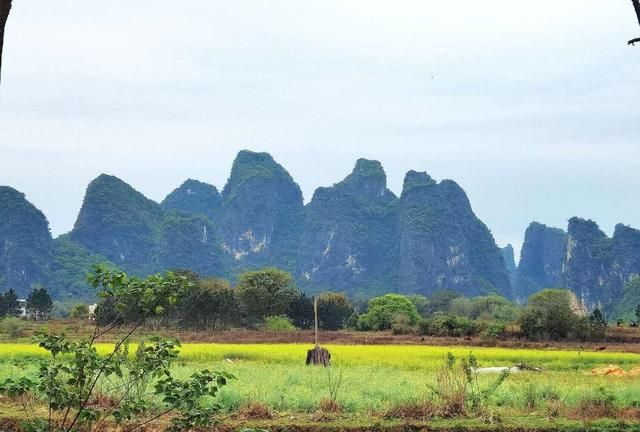 当我决定，放弃你！（戳心泪目）休闲区蓝鸢梦想 - Www.slyday.coM