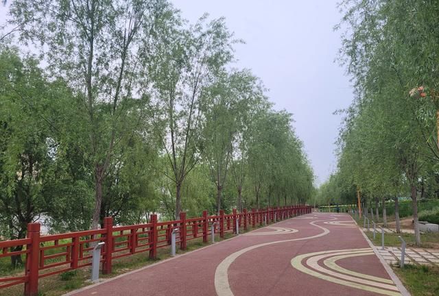 当我决定，放弃你！（戳心泪目）休闲区蓝鸢梦想 - Www.slyday.coM