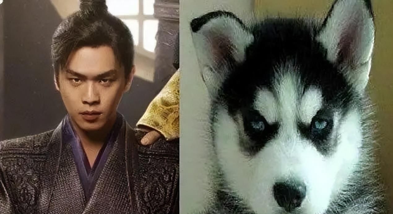 明明长得一般却越看越顺眼这8位丑帅男星个个魅力爆棚