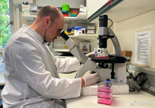 猴痘是如何走出非洲的？专家称中国输入猴痘可能性很低，警惕进口的小型啮齿类动物休闲区蓝鸢梦想 - Www.slyday.coM