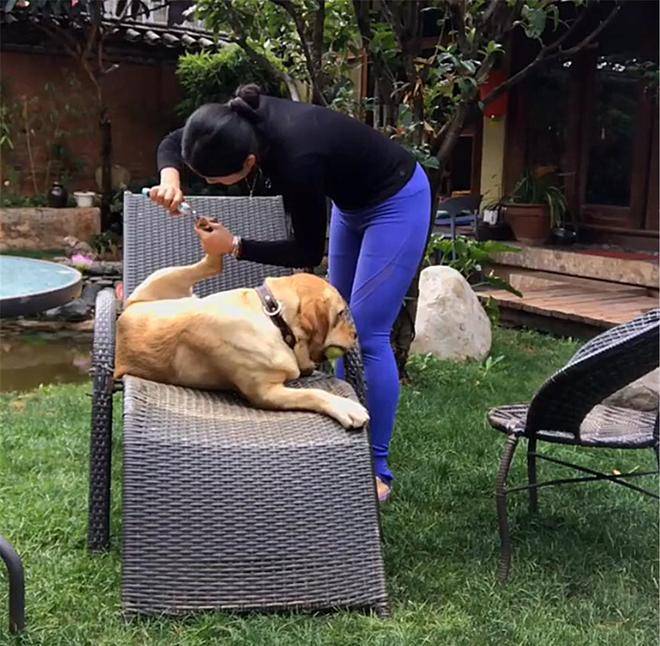 狗主隐居山区,狗子练成采蘑菇高手,朋友三天两头借狗休闲区蓝鸢梦想 - Www.slyday.coM 狗主隐居山区,狗子练成采蘑菇高手,朋友三天两头借狗休闲区蓝鸢梦想 - Www.slyday.coM