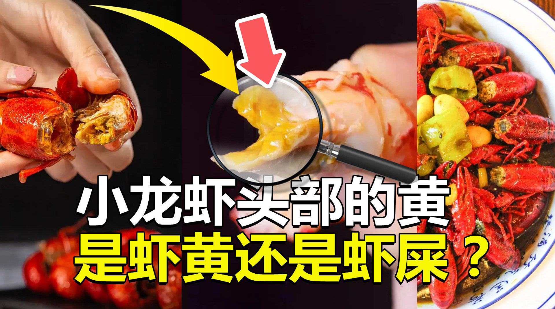 小龙虾头部的黄是虾黄还是虾屎吃了这么多年终于明白了微博公开课小