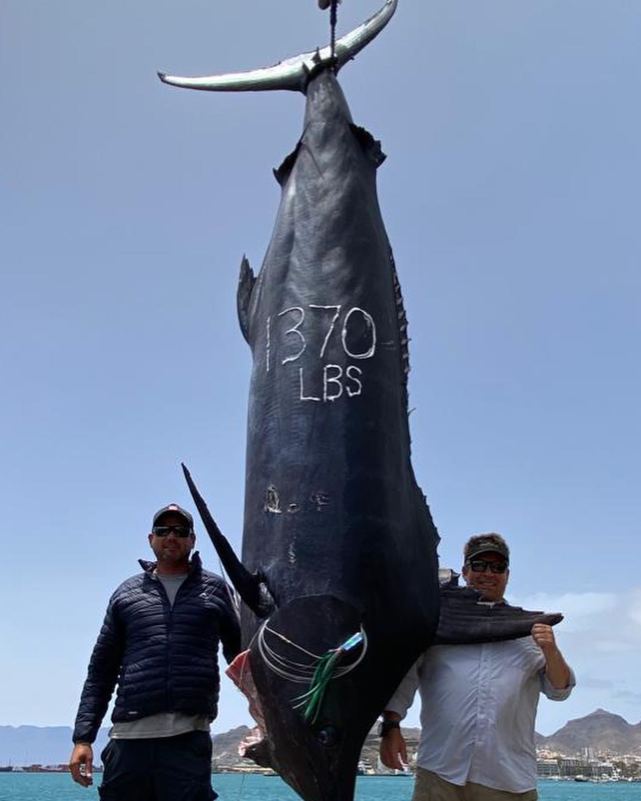 南非3渔夫出海钓鱼意外钓到一条重达621公斤的大西洋蓝枪鱼