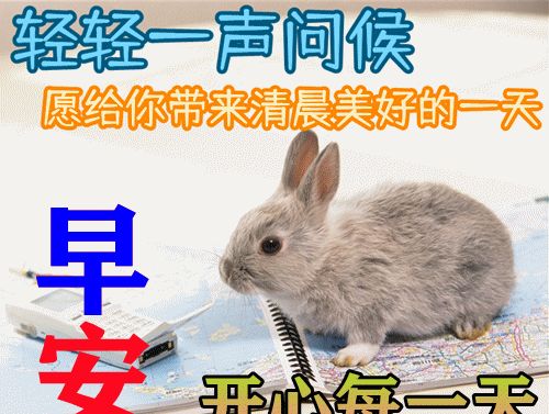 平平安安早上开手机,串串铃声连连响起!