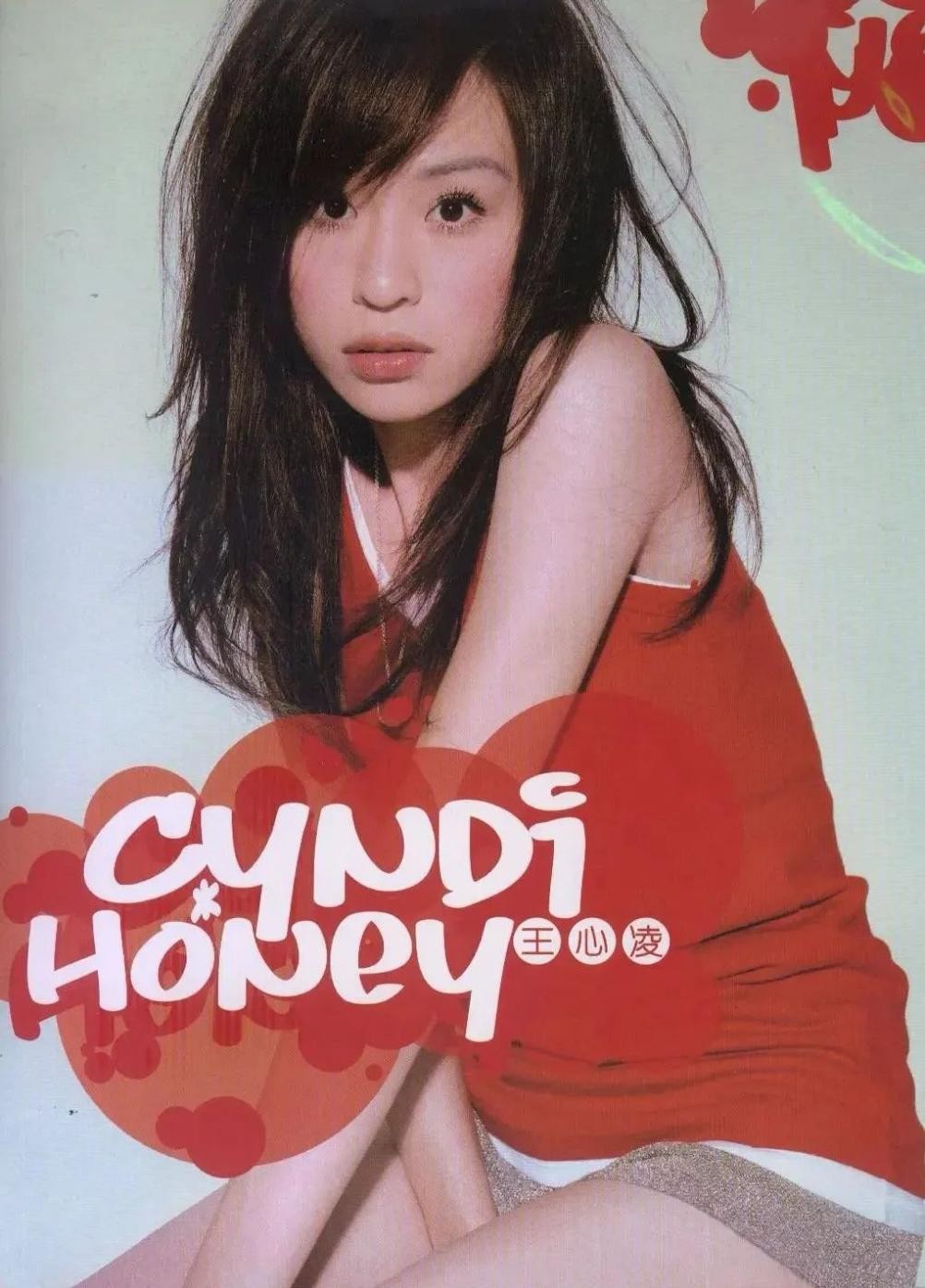 巅峰时被渣男毁掉事业,39岁才再度翻红|王心凌|姚元浩|爱你_新浪新闻