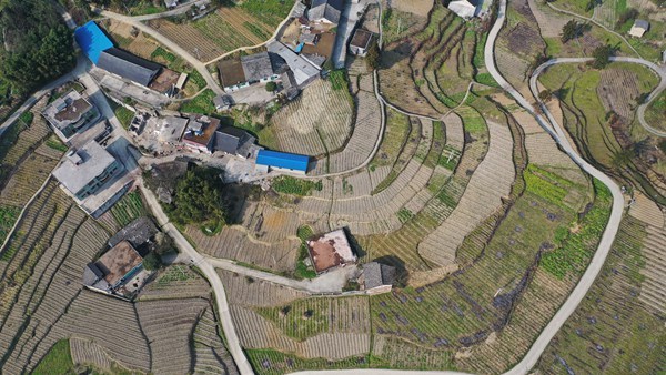 七星关区燕子口镇:建强"四核心"赋予乡村振兴新动能