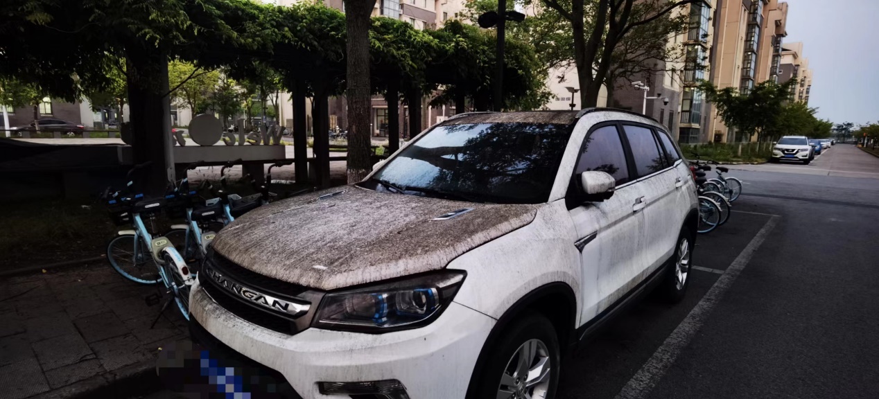 大江东｜一名武汉籍在沪大学生的返乡路休闲区蓝鸢梦想 - Www.slyday.coM