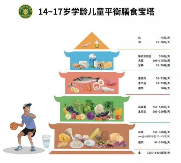 最新中国学龄儿童膳食指南发布新增3座膳食宝塔