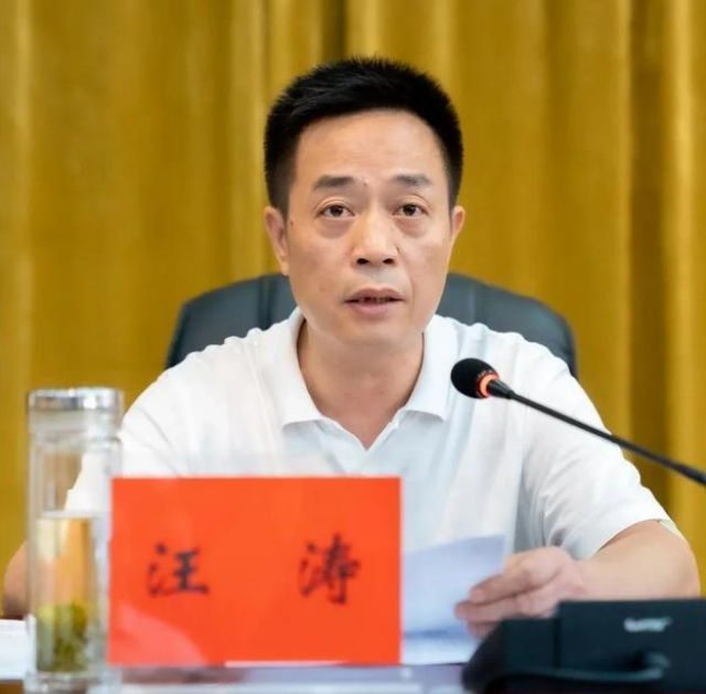 汪涛任岳阳市委副书记政法委书记