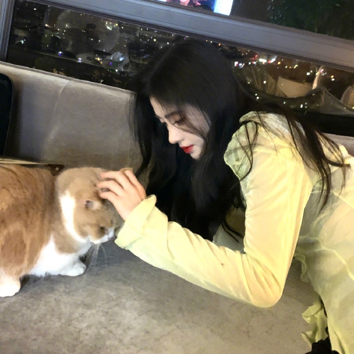 鞠婧祎晒随拍美照 与猫咪互动温柔满分|鞠婧祎|猫咪|满分_新浪新闻