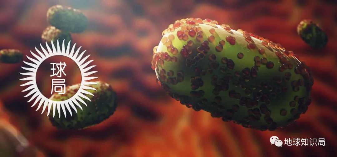 多次发布报告称,目前非洲以外已累计发现100余例人感染猴痘病毒的病例