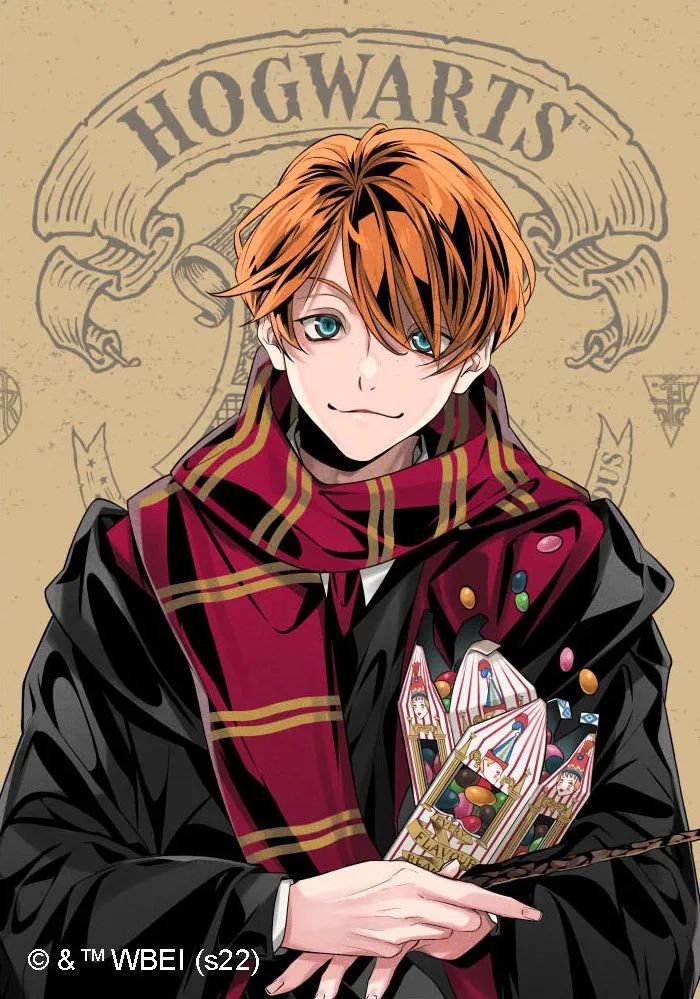 双子太好看了也没有人不爱罗恩是吧