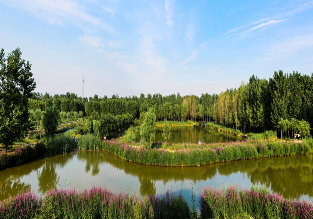 孝义湿地公园美景描述图片
