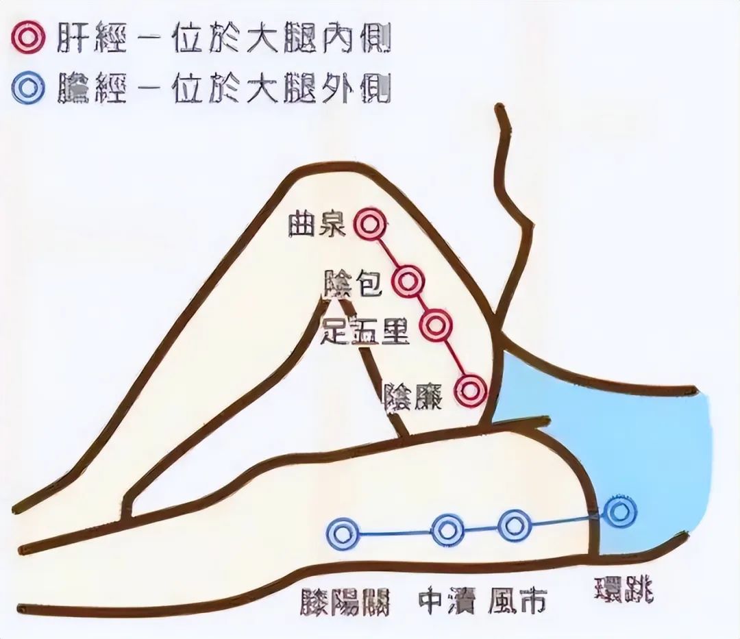 自古就有肝胆相照的说法,在拍打肝经的同时也要顺带上胆经,这两条经也