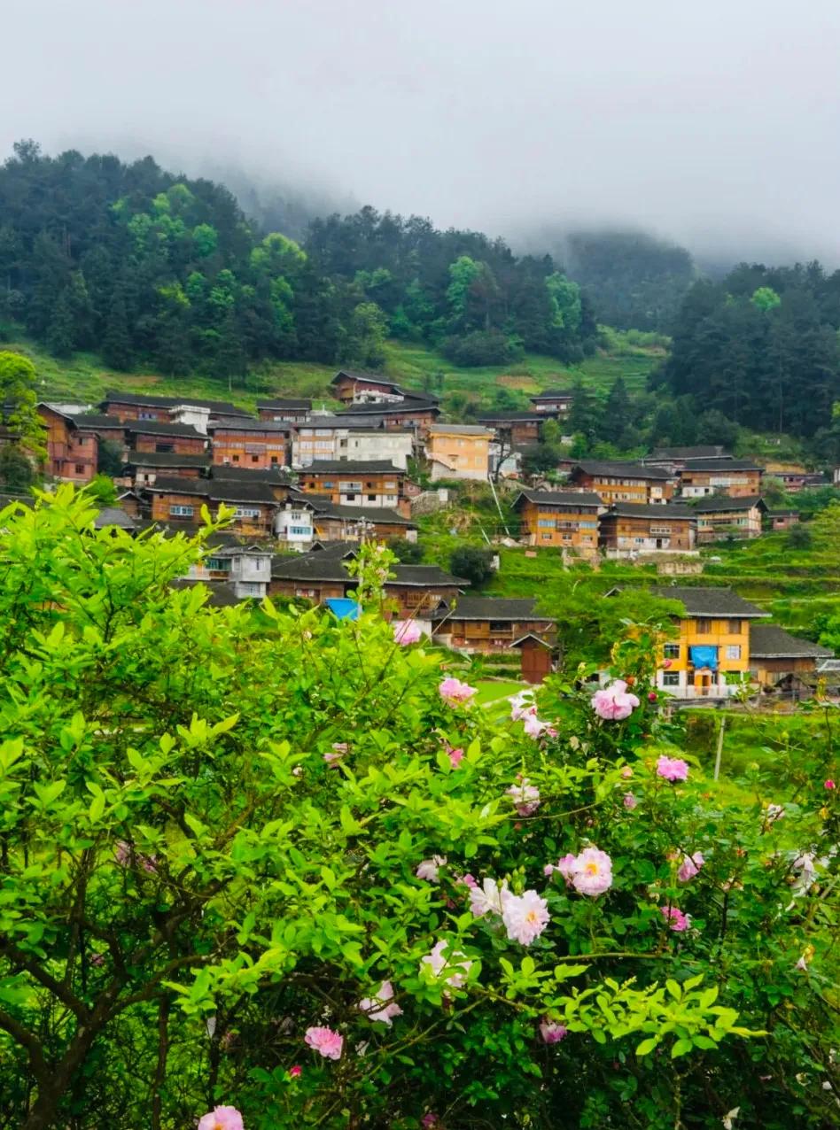 1,贵州黔东南雷山县白岩苗寨,梯田托起的村庄,住在风景里看风景