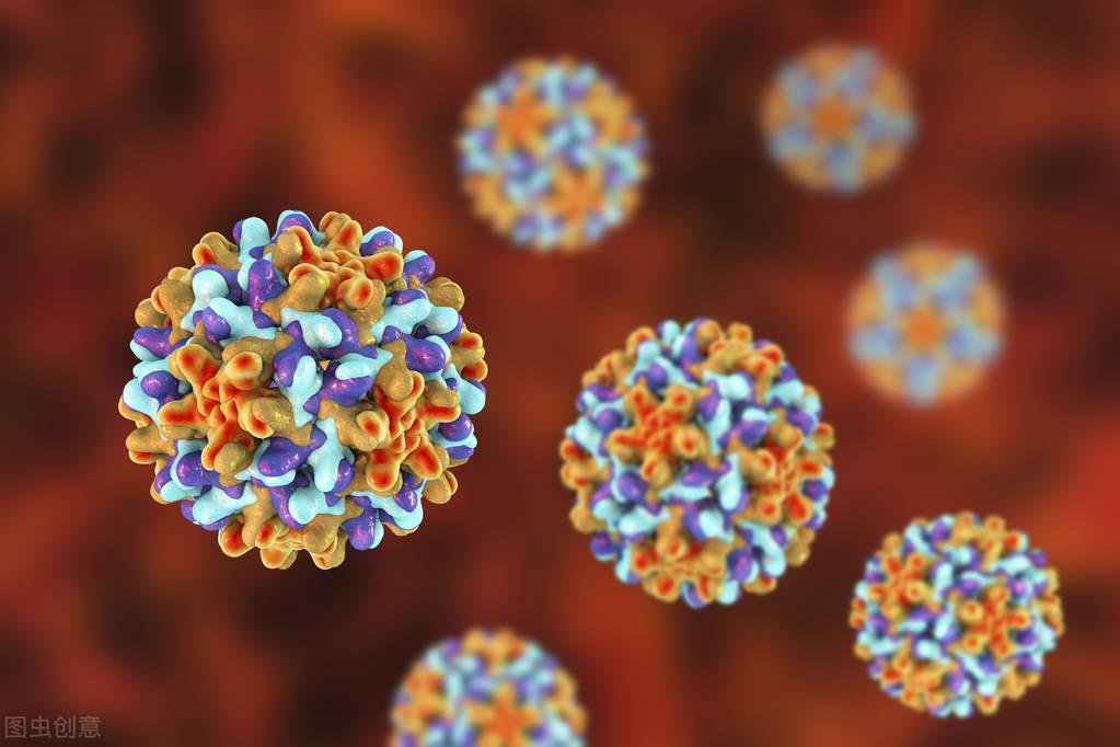 _hpv39多久才能转阴