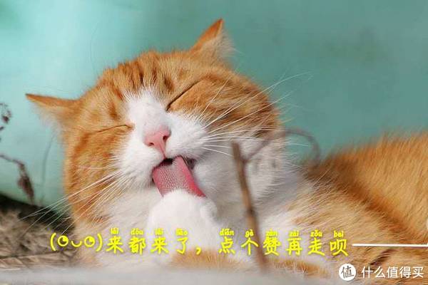 法式蜂蜜可丽饼配方食谱分享/pie派与可丽饼的区别?塞尔达传说旷野之息如何做料理水果派制作方法/派与饼休闲区蓝鸢梦想 - Www.slyday.coM