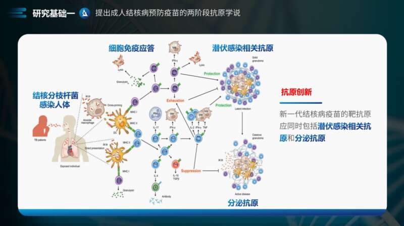 疫苗研制的一个“卡脖子”问题，被华科大学子破解！休闲区蓝鸢梦想 - Www.slyday.coM