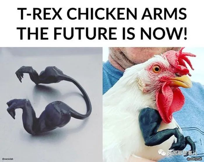 一边蹲马桶一边称体重？这波脑洞大开的创意设计，很想要了！休闲区蓝鸢梦想 - Www.slyday.coM