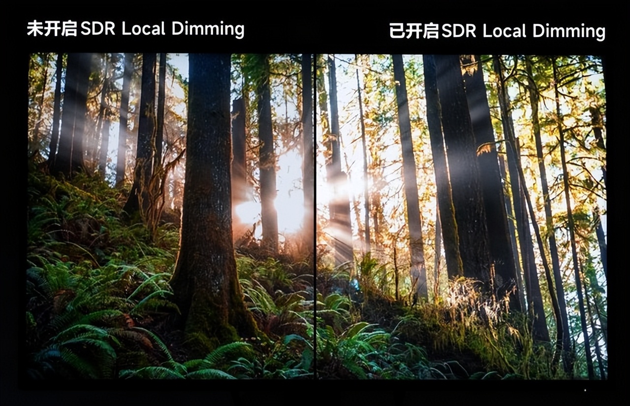 led还是小的好miniled背光与lcd屏幕显示效果实拍对比