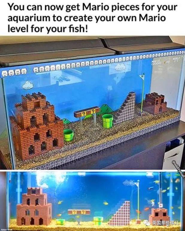 一边蹲马桶一边称体重？这波脑洞大开的创意设计，很想要了！休闲区蓝鸢梦想 - Www.slyday.coM