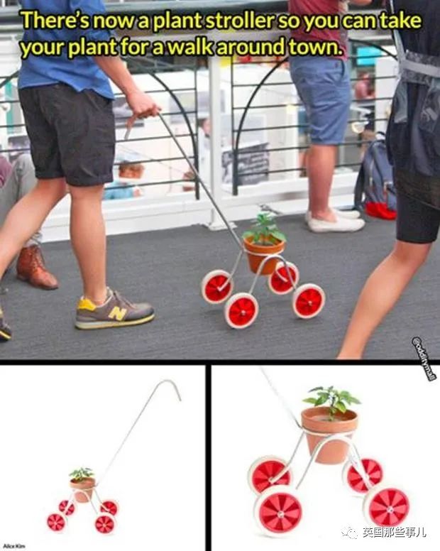 一边蹲马桶一边称体重？这波脑洞大开的创意设计，很想要了！休闲区蓝鸢梦想 - Www.slyday.coM