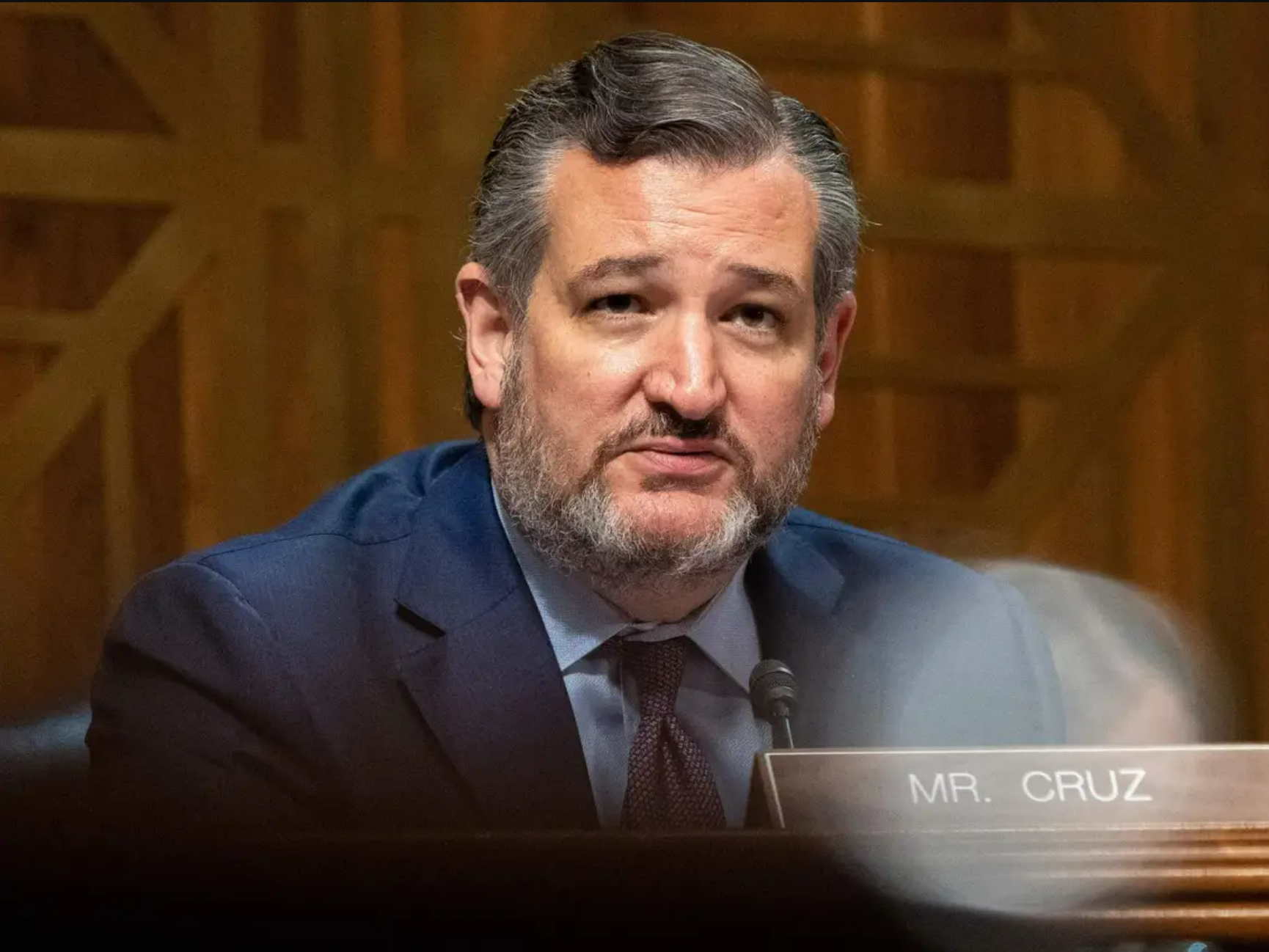 特德·克鲁兹(ted cruz),资料图