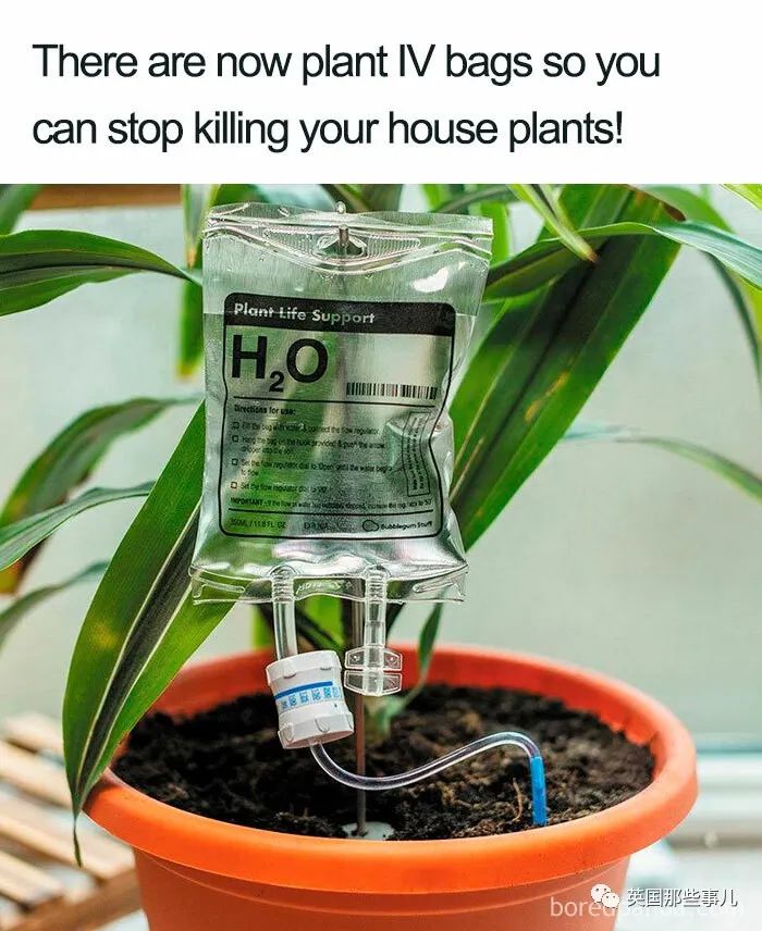 一边蹲马桶一边称体重？这波脑洞大开的创意设计，很想要了！休闲区蓝鸢梦想 - Www.slyday.coM