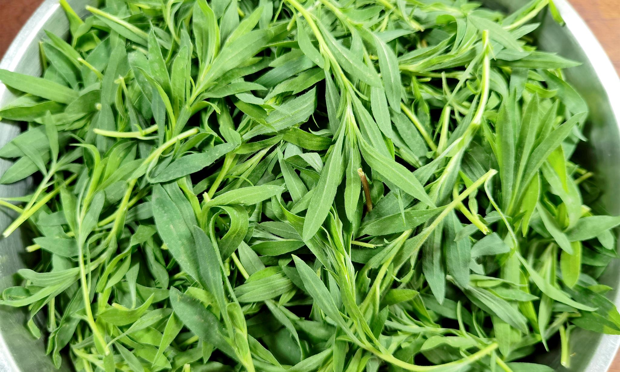 这菜全身是宝入夏要抓紧吃鲜嫩营养清火祛湿包饺子吃真香