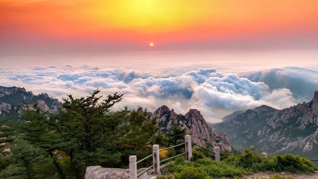山东唯一！凭“云海奇观”一火再火，这座国内罕见的“海上仙山”藏着最美的夏天！|崂山|山东省_新浪新闻