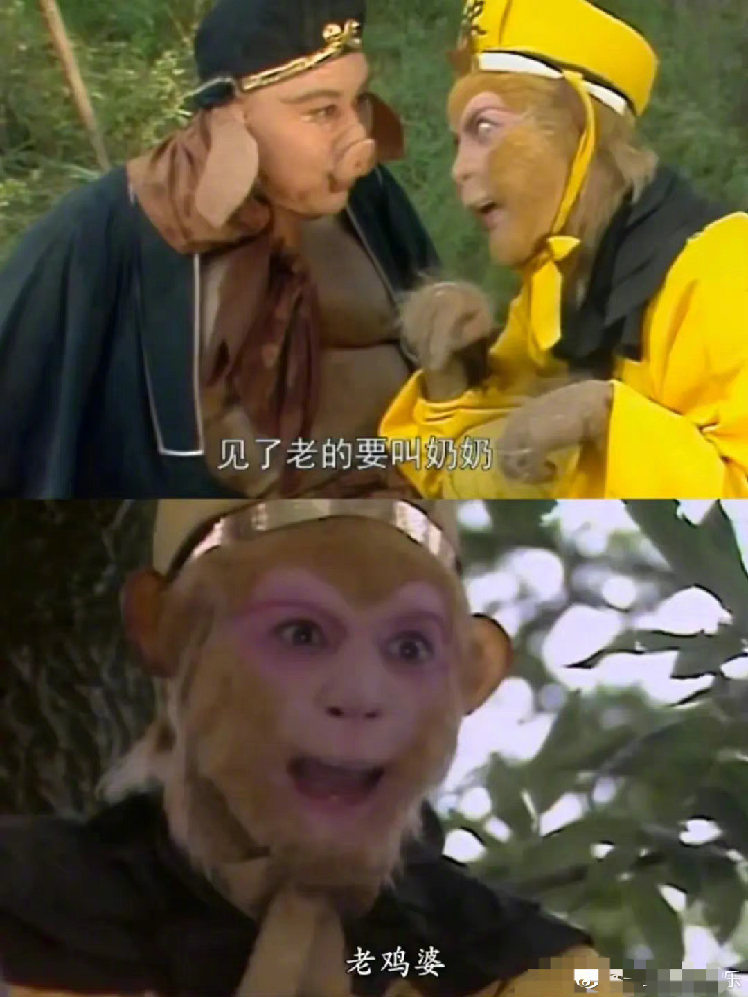 西游记里的大型双标现场