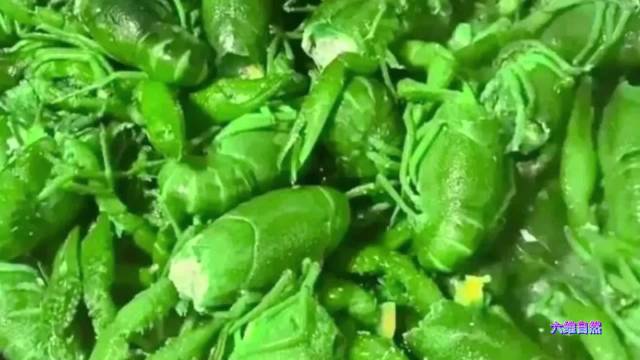 小龙虾一锅绿色的小龙虾有人还担心吃了会中毒结果是网友想太多了67