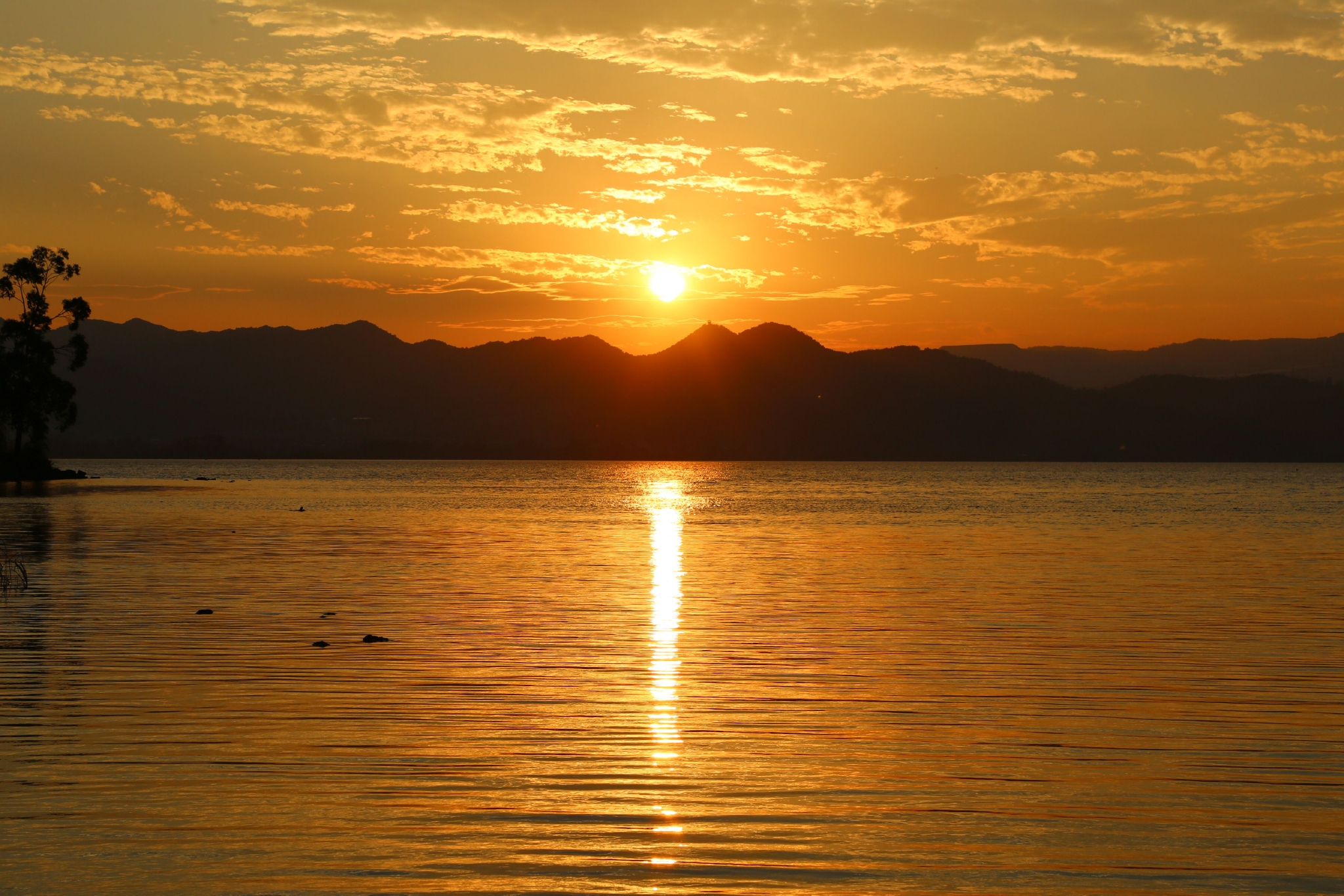 云南晋宁南滇池国家湿地公园风景如画|云南|滇池|国家湿地公园_新浪