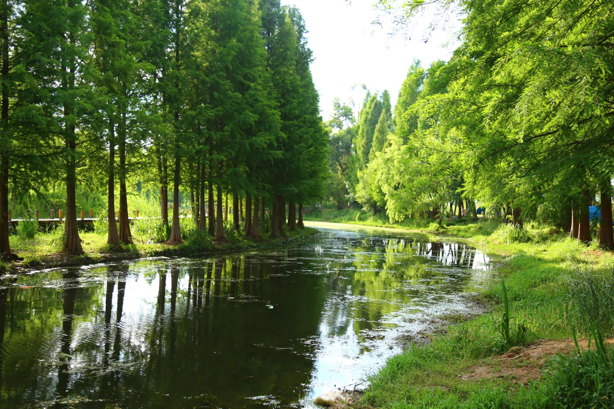 云南晋宁南滇池国家湿地公园风景如画|云南|滇池|国家湿地公园_新浪