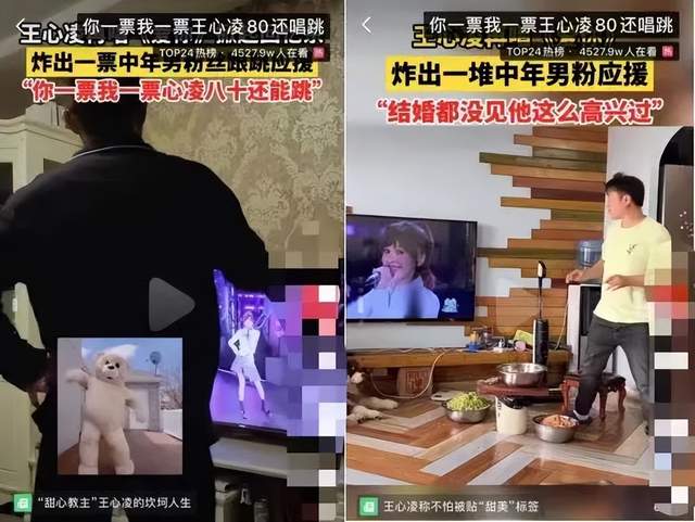 王心凌凭一首《爱你》再度翻红，网友：她的粉丝只是老了！休闲区蓝鸢梦想 - Www.slyday.coM