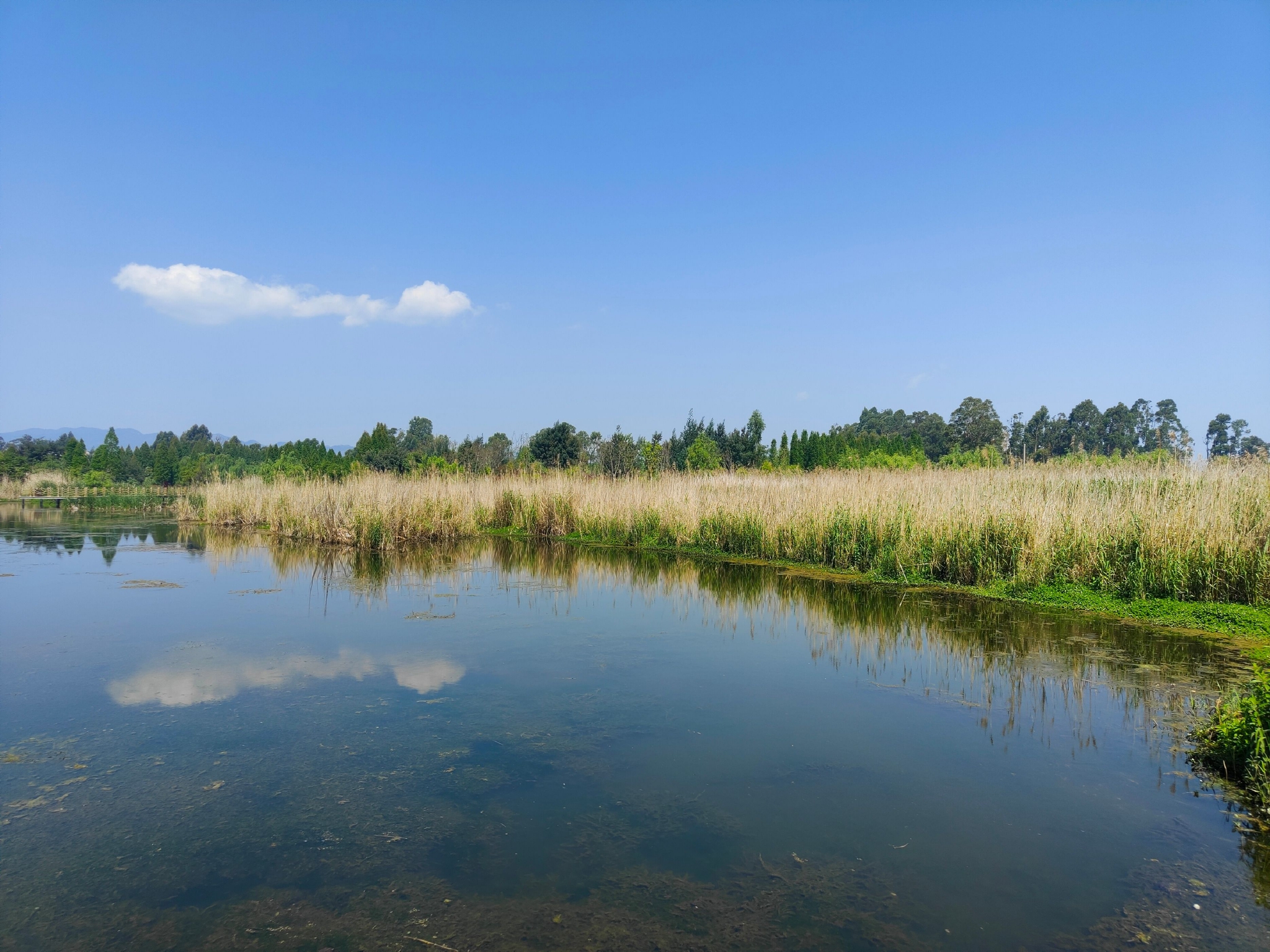 南滇池国家湿地公园图片