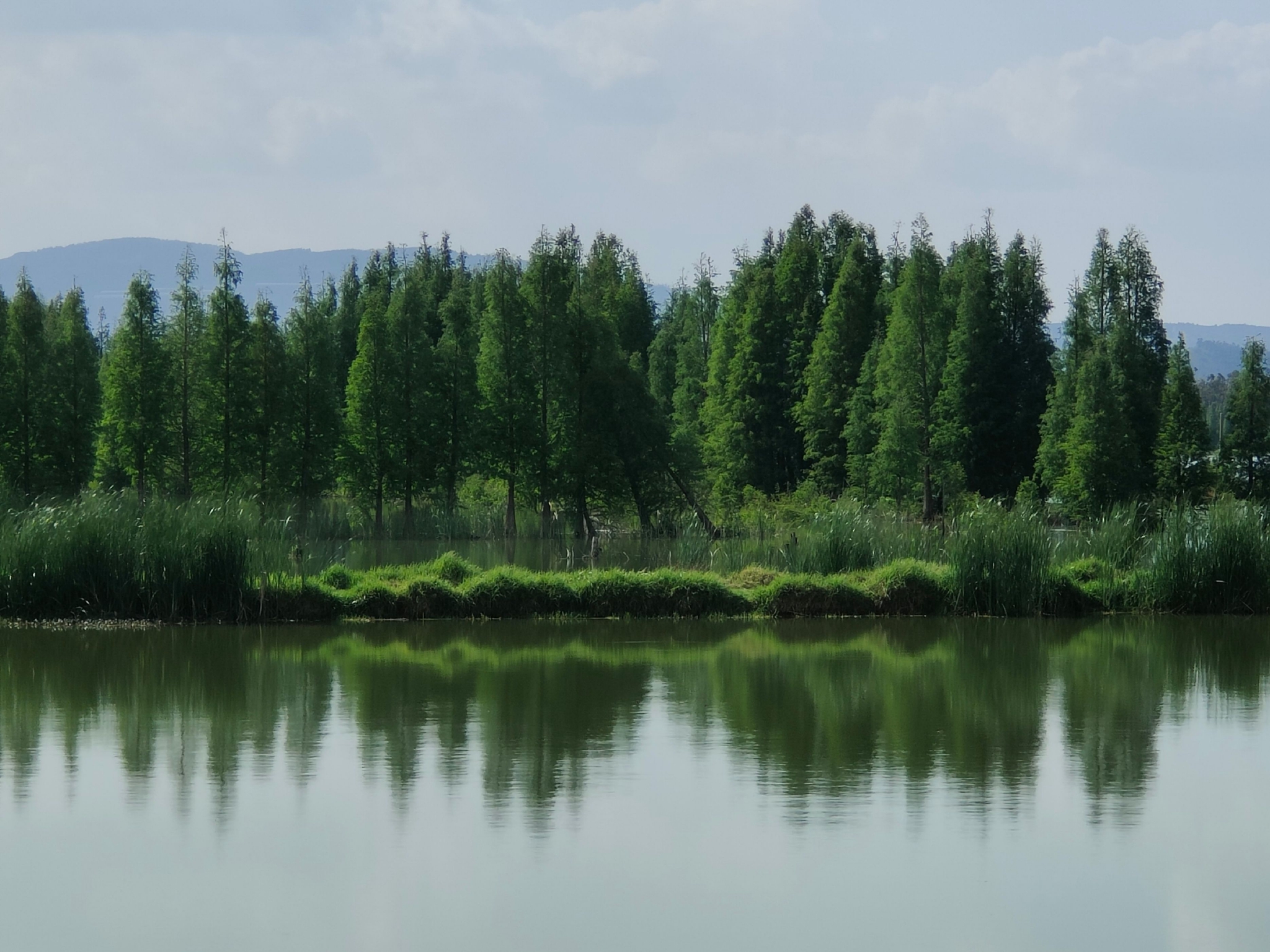 云南晋宁南滇池国家湿地公园风景如画|云南|滇池|国家湿地公园_新浪