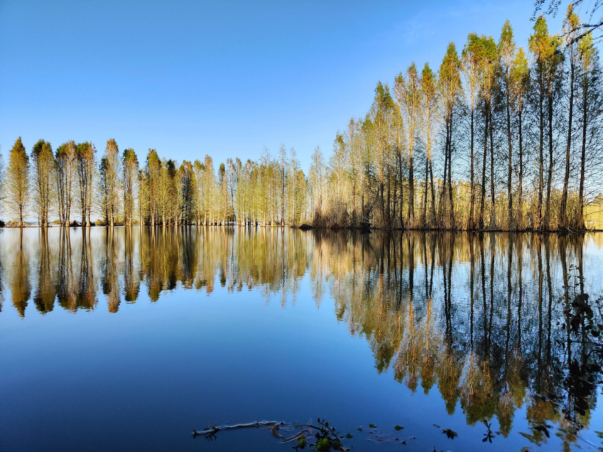 云南晋宁南滇池国家湿地公园风景如画|云南|滇池|国家湿地公园_新浪