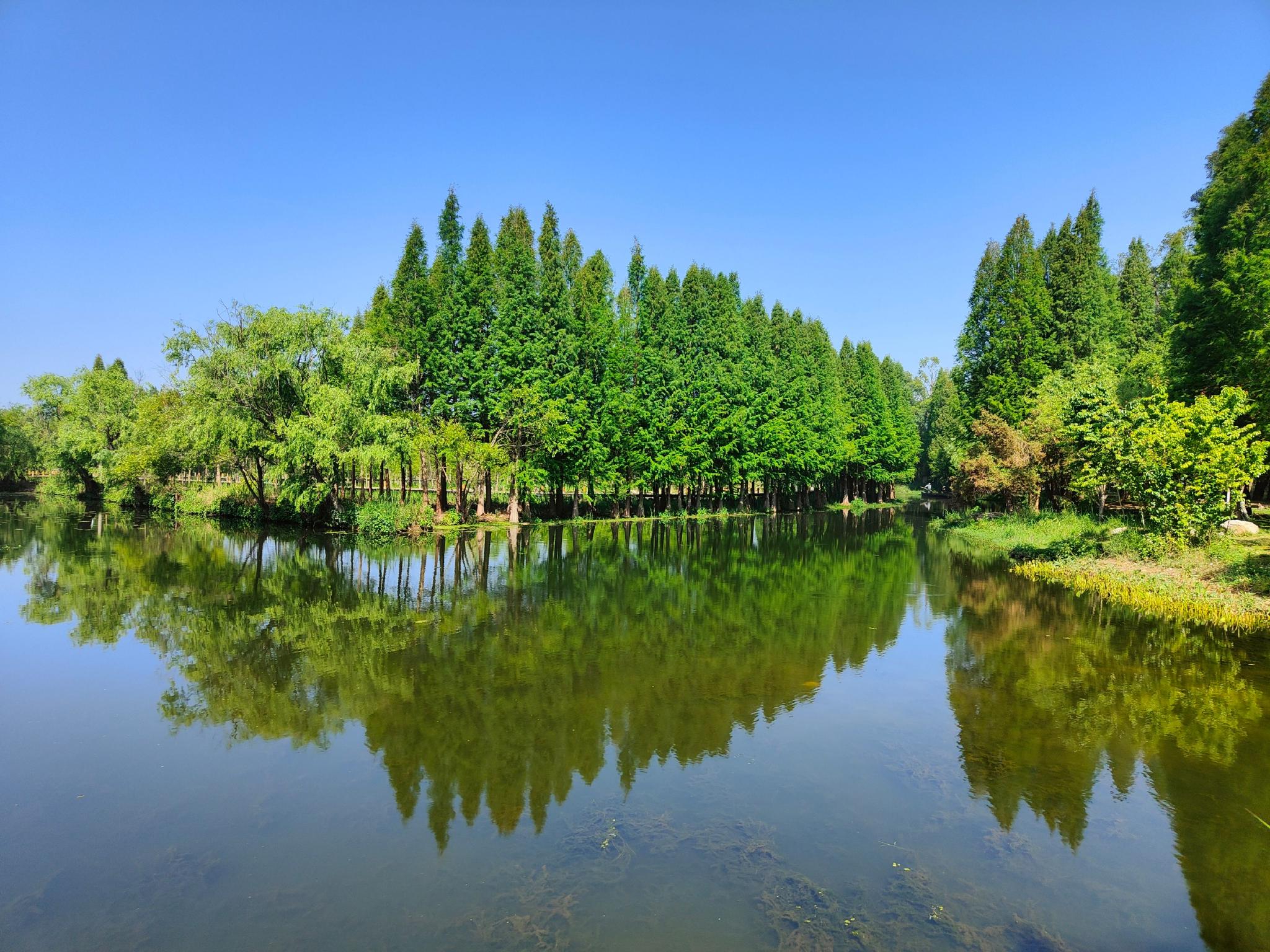 南滇池国家湿地公园图片