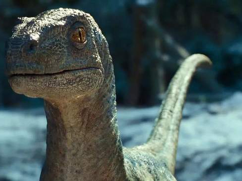 5月26日,电影《侏罗纪世界3》发布新特辑,预告集中关注了迅猛龙布鲁的