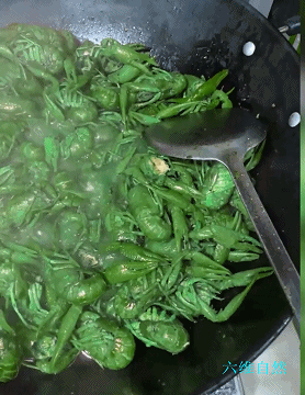 深圳一网友炒出绿色的小龙虾有人担心吃了会中毒结果是想太多