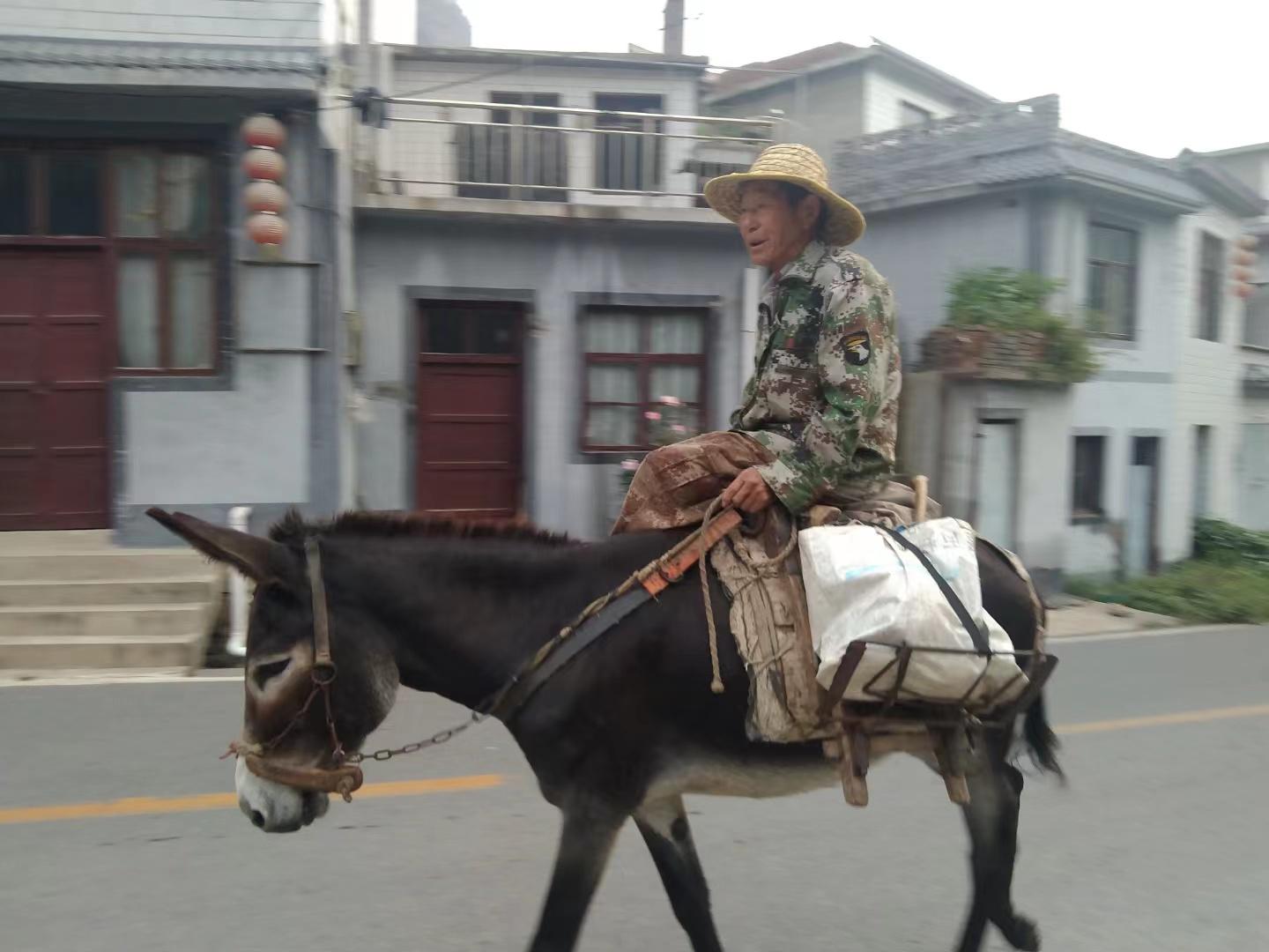 王金庄五街村民李肥德骑着毛驴沿着村路去地里.受访者供图