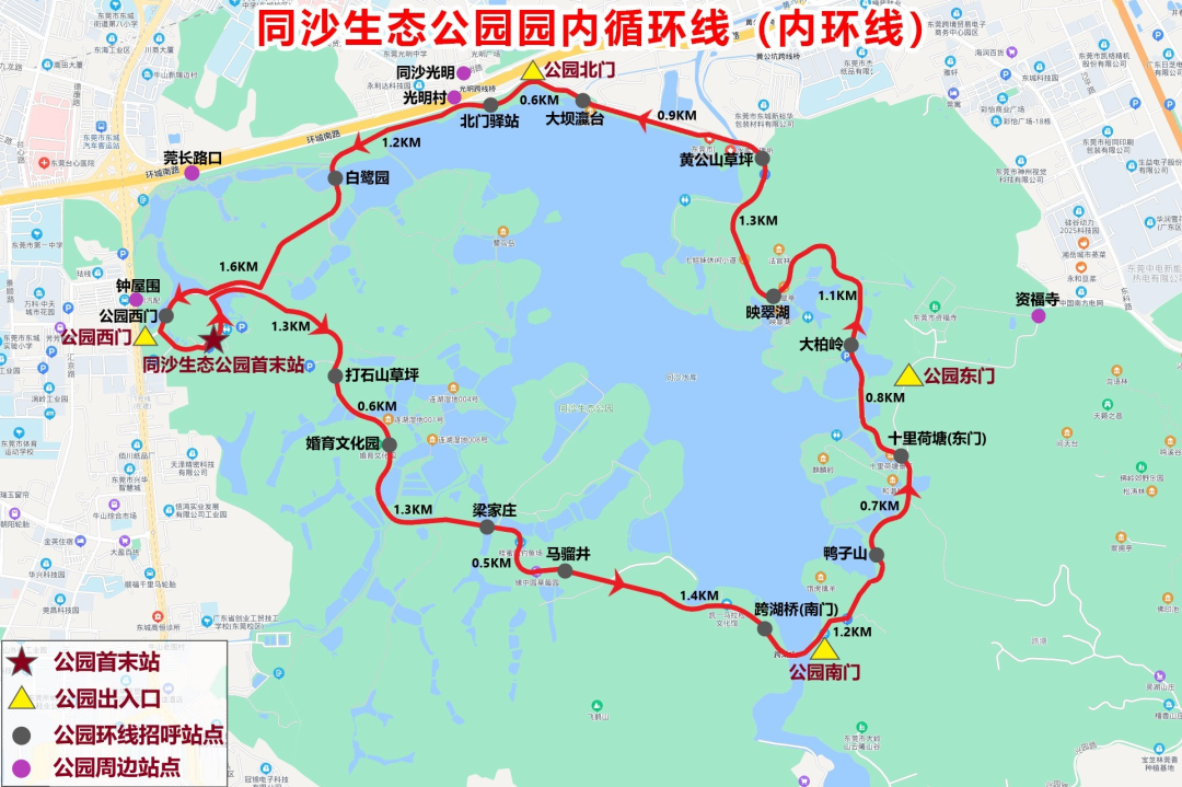 东莞首条!本周六起,这条专线在同沙生态公园试运营__财经头条