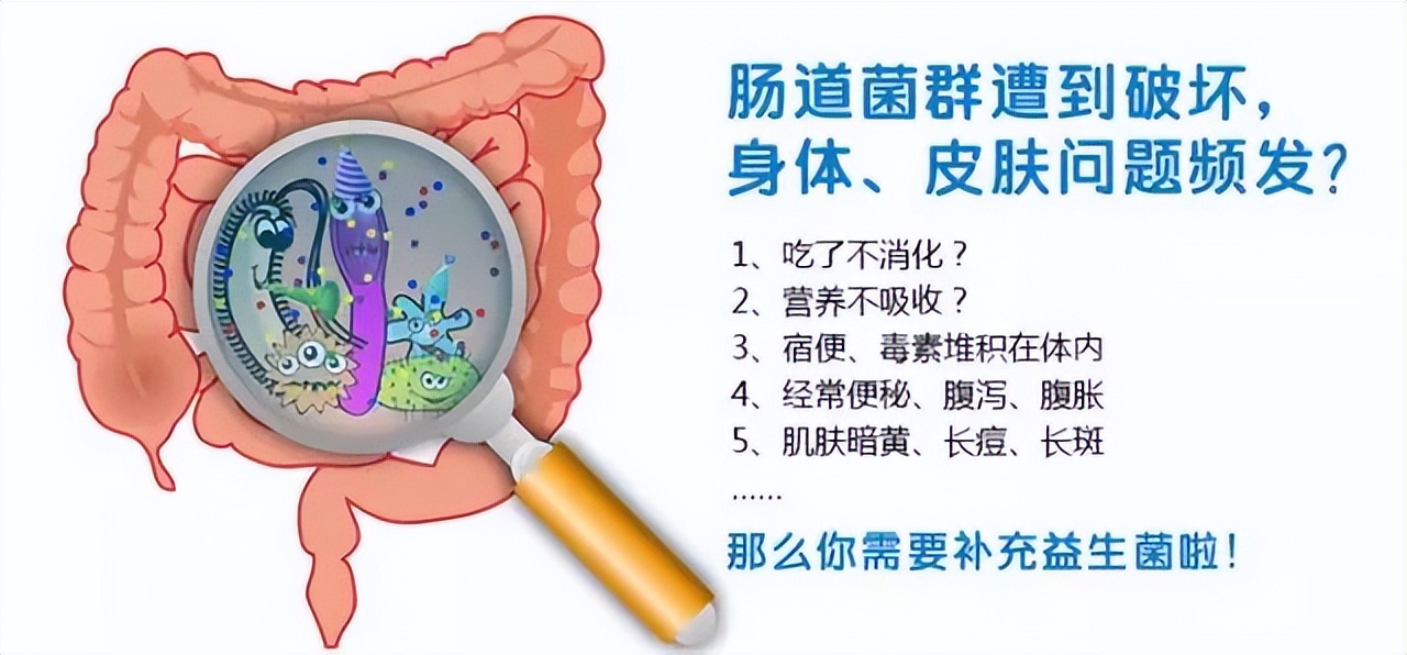 益生菌除暴安良为肠道注入健康正能量