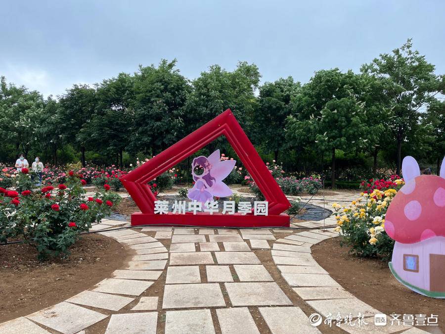 花开缤纷色芬芳香满城莱州举办第三十二届月季花节