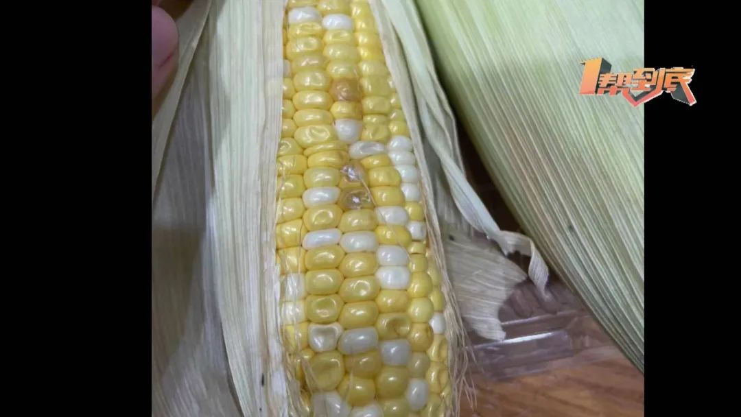 玉米吃到一半发现发霉了长沙市民投诉山姆会员商店出售发霉食品