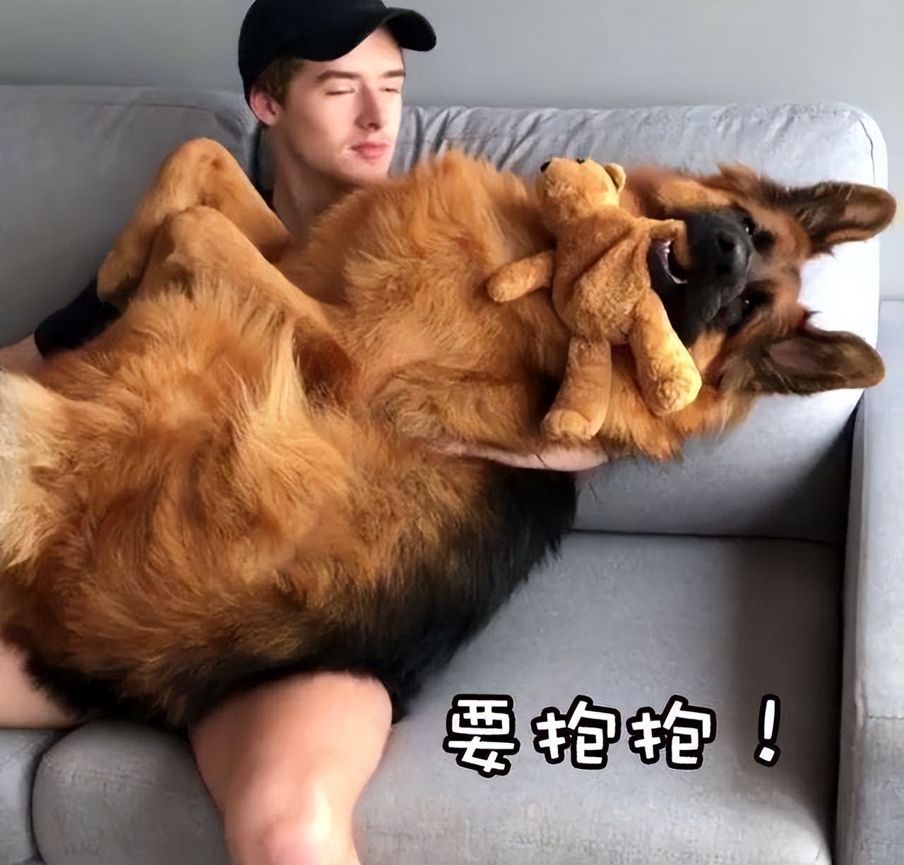 宠物狗被主人“捧在手心”长大,有些表现骗不了人休闲区蓝鸢梦想 - Www.slyday.coM 宠物狗被主人“捧在手心”长大,有些表现骗不了人休闲区蓝鸢梦想 - Www.slyday.coM