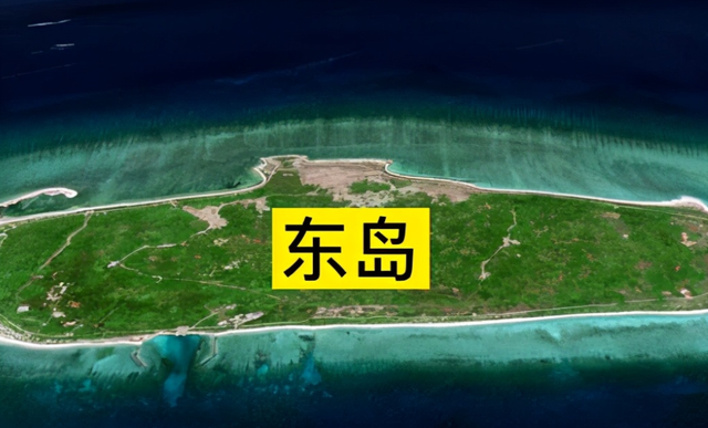 400头！西沙东岛发现大规模野牛群，哪里来的？牛粪给出答案休闲区蓝鸢梦想 - Www.slyday.coM