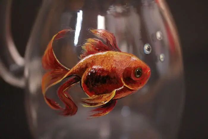 动物被困玻璃杯中，人们刚要去解救，凑近才发现大可不必休闲区蓝鸢梦想 - Www.slyday.coM