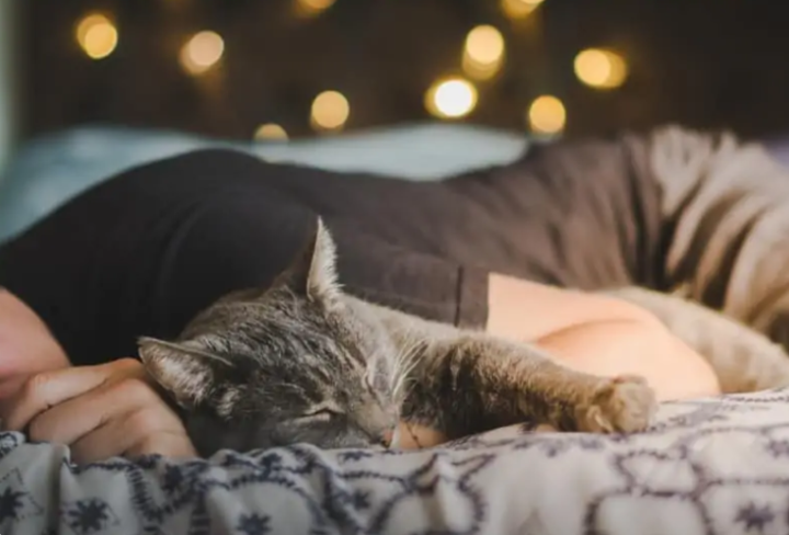 我需要为小猫咪留一盏灯吗?休闲区蓝鸢梦想 - Www.slyday.coM 我需要为小猫咪留一盏灯吗?休闲区蓝鸢梦想 - Www.slyday.coM